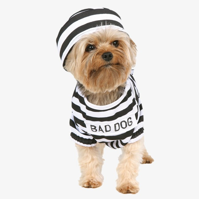 Bad Dog