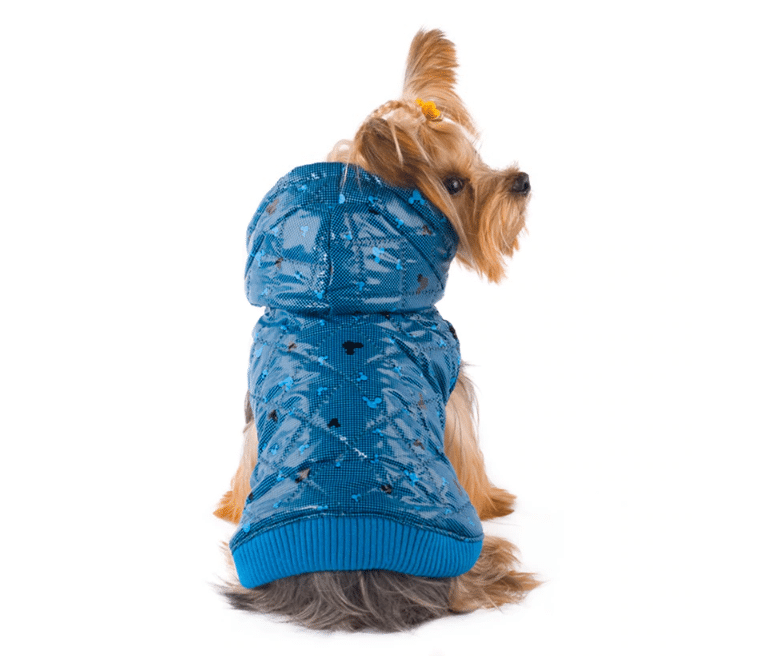 Blue Jacket